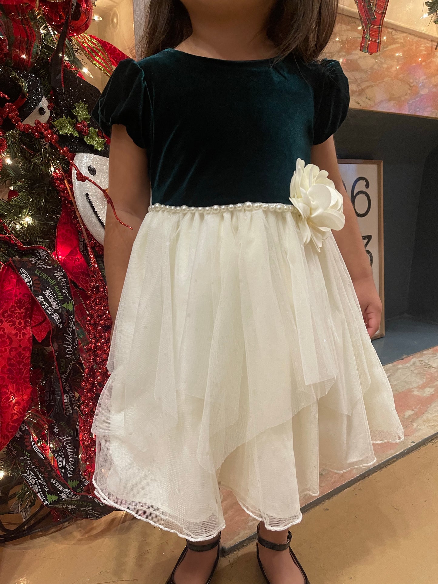 Bonnie Jean Velvet Tulle Dress