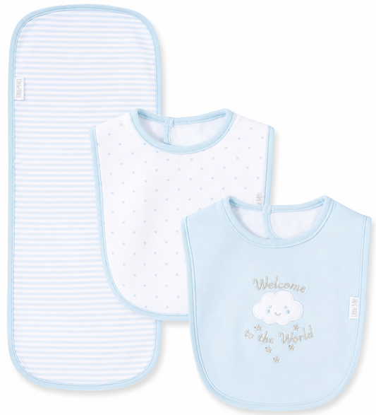 Copelan Walker Pitts Registry Little Me 2 bib&burp Welcome to the World Set