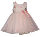 Bonnie Jean Embroidered Tulle Blush Dress