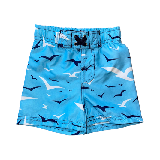 Rugged Butts Soaring Seagulls Swim Trunks