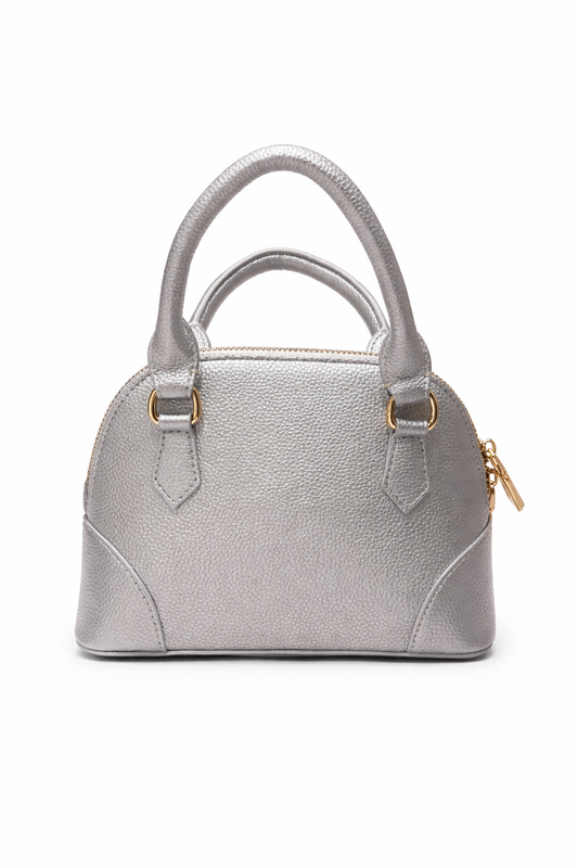 Carrying Kind Small Silver Purse