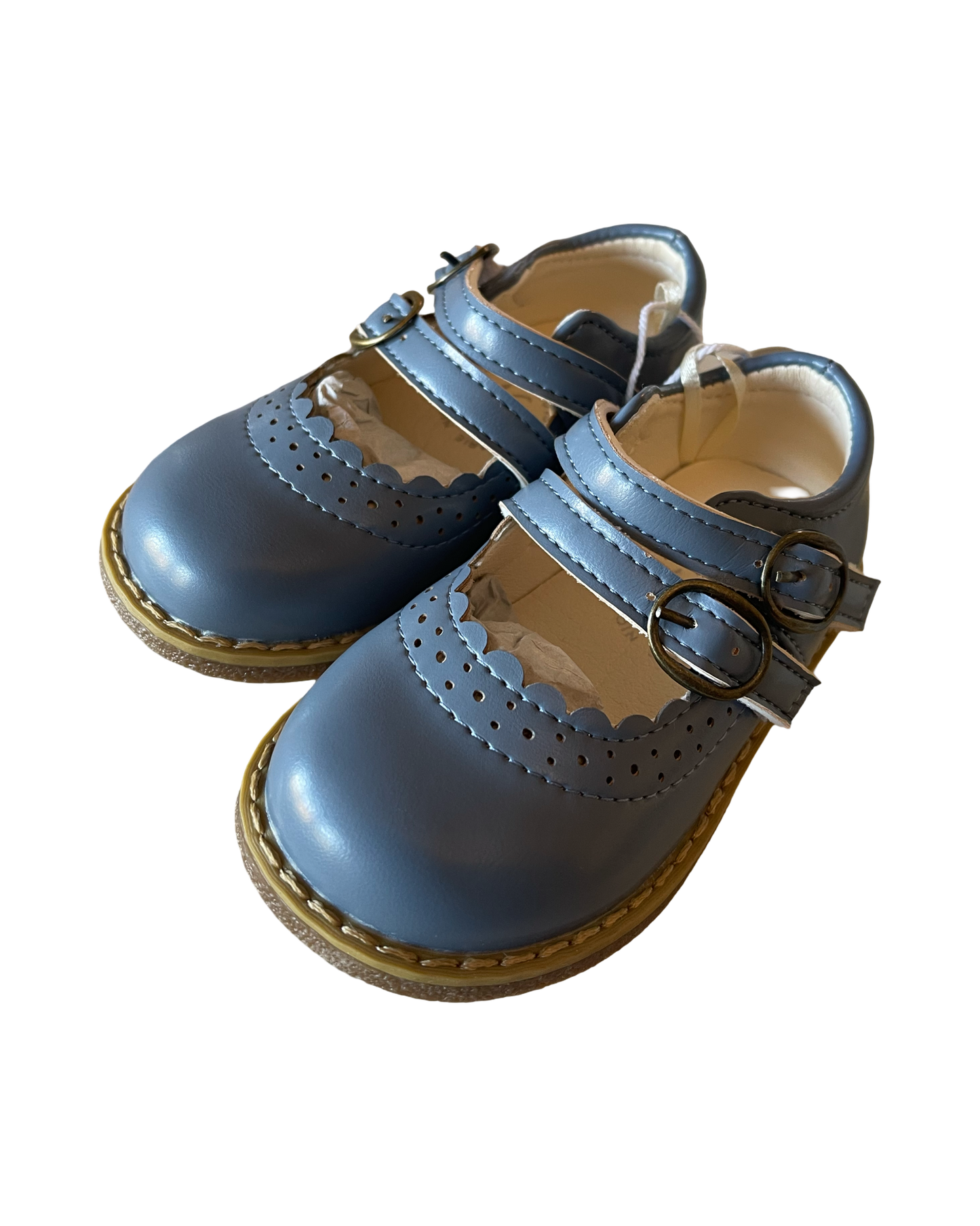 Blue Double Strap Mary Jane Shoes
