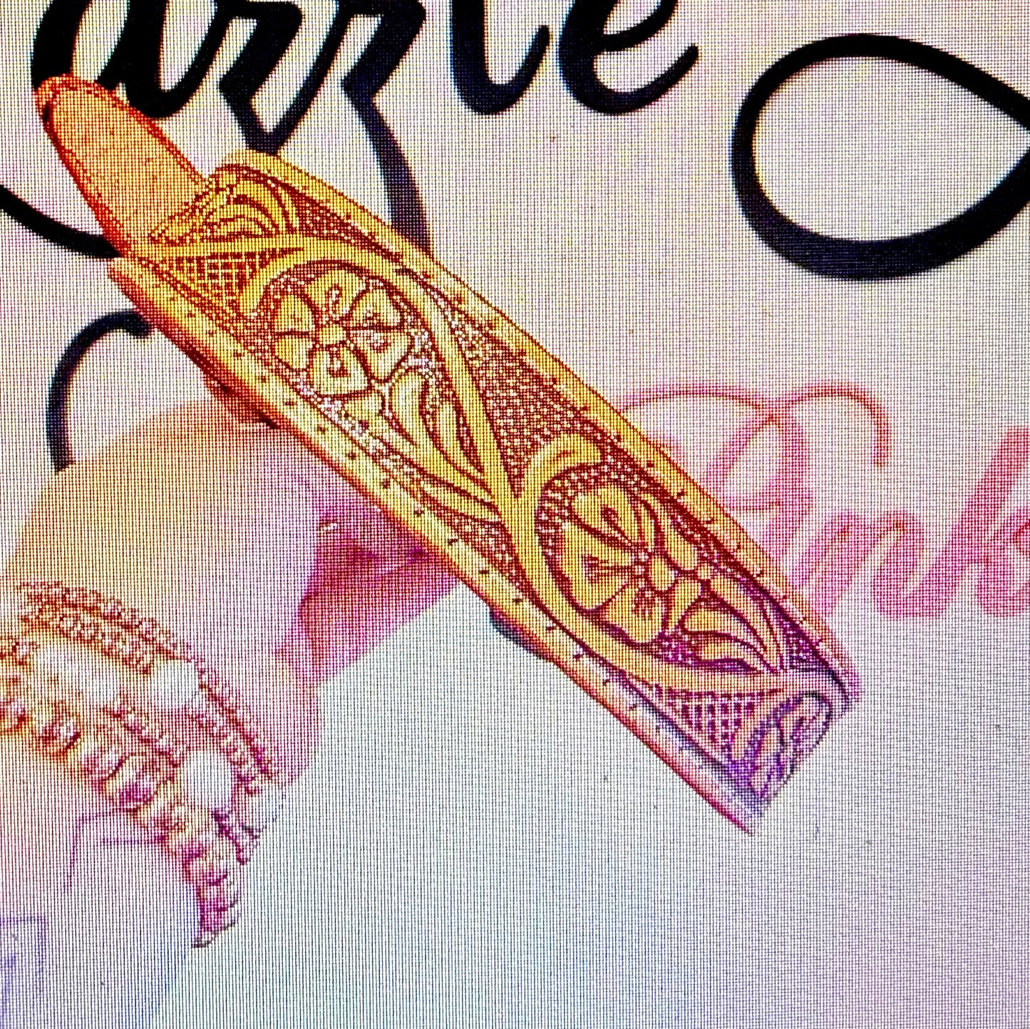 Baby Brown Registry Western Express Boys Brown Leather Tooled Belts