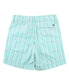 Rugged Butts Baltic Stripe Shorts