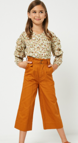 Sage Printed Ruffle Sleeve Top